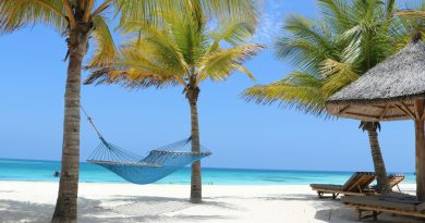 Mareea în Zanzibar